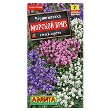 Семена Черноголовка Морской бриз, смесь окрасок